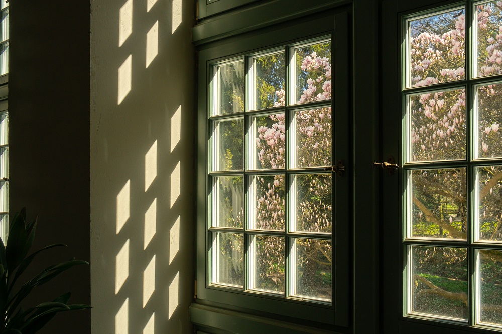 Close up of palm leaf next to old window. Abstract minimal interior design background decor template mockup. Concept of ecology exotic plant. Warm tan sunlight shadows through green window. Aesthetic Green plants in botanical garden indoor