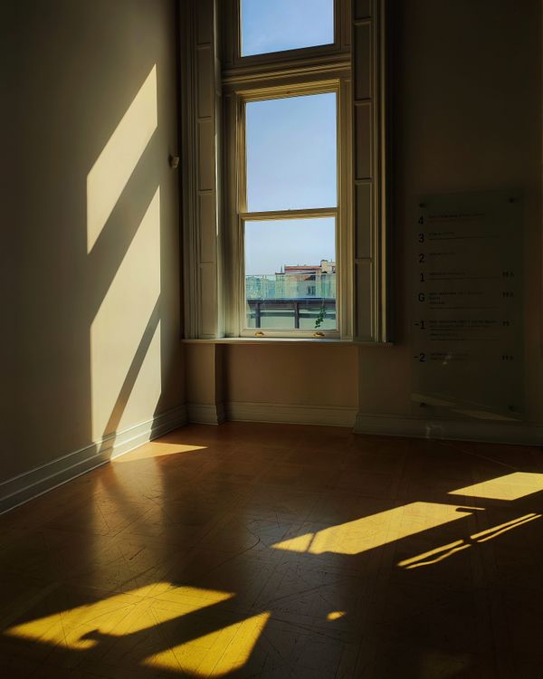 How long professionally installed window film lasts in New Orleans
