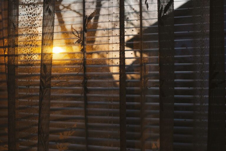Window film vs blinds vs curtains comparison